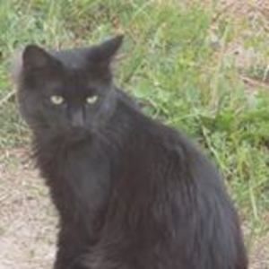 Meet your Posher, Stephane